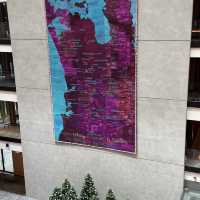 Harbor Bliss: My Park Hyatt Auckland Escape
