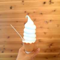 北海道旅遊😍北海道神宮🥳品嚐神宮茶屋馳名牛乳雪糕和福餅😋