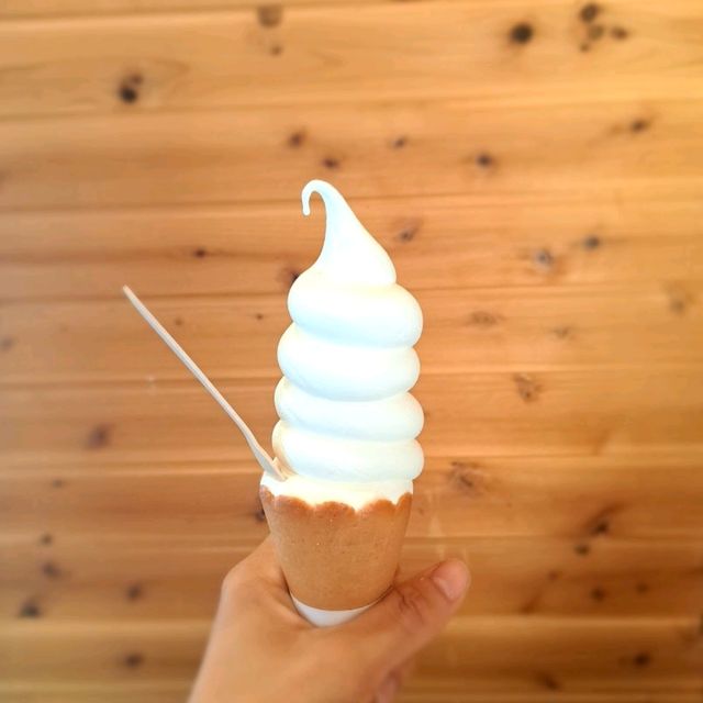 北海道旅遊😍北海道神宮🥳品嚐神宮茶屋馳名牛乳雪糕和福餅😋