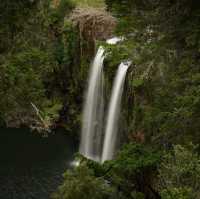The Bay of Islands,