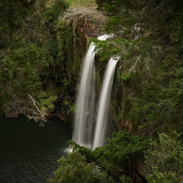 The Bay of Islands,