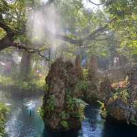 แดนเทวดา คาเฟ่ในม่านหมอก