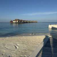 Ozen in Maldive . Eat , drink , Relax 