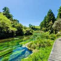 My Enchanting Encounter with Putaruru Blue Springs
