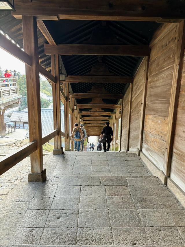 陰雲下的靜謐：探索奈良二月堂的魅力之旅