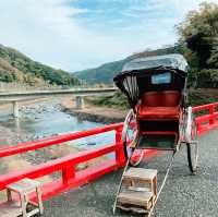 いつでも、何度でも訪れたい観光地 『箱根』🚇