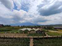วัดสวยล้านนา ทัศนียภาพทุ่งนา ดอยภูคา อันงดงาม