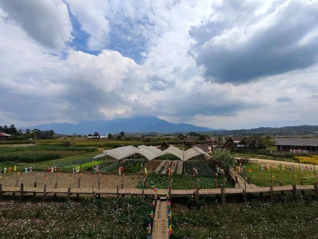 วัดสวยล้านนา ทัศนียภาพทุ่งนา ดอยภูคา อันงดงาม
