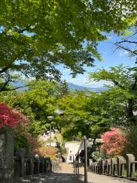 Shorinzan Daruma-ji วัดแห่งดารุมะ 🎏