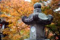Night Photography Extravaganza -- The Kiyomizu-dera 