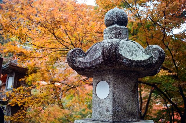 Night Photography Extravaganza -- The Kiyomizu-dera 