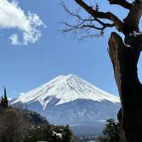 富士山無處不在