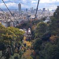 ☾︎神戸☽︎ ゴンドラから眺める景色が最高のハーブ園