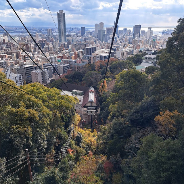 ☾︎神戸☽︎ ゴンドラから眺める景色が最高のハーブ園
