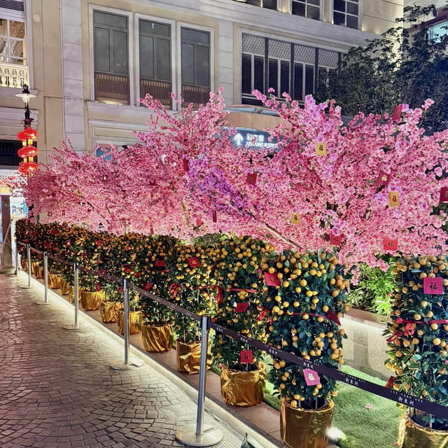 灣仔利東街-喜慶燈海迎新春，800個金紅燈籠與粉紅桃花園