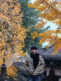 ✨Quick City hop from Chengdu