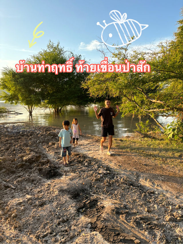 บ้านท่าฤทธิ์ ท้ายเขื่อนป่าสัก สระบุรี