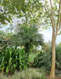 Gardens By The Bay 