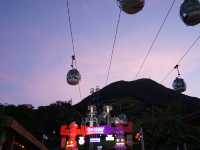 Swooping Over the Sea: Ocean Park's Best Moments