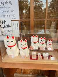 Gotokuji Temple 😸 วัดแมวกวักนำโชคในโตเกียว