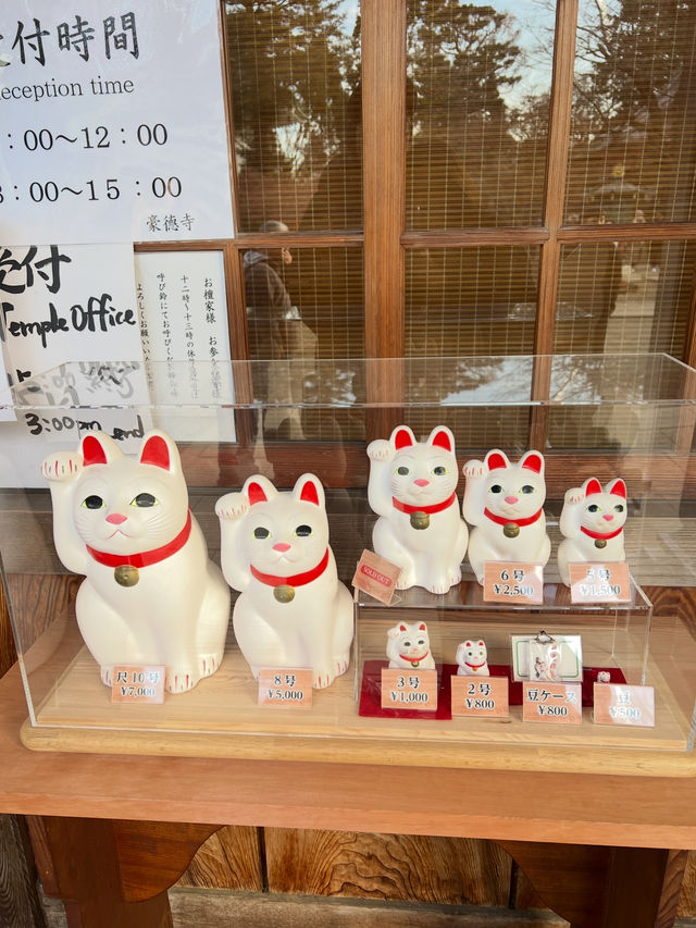 Gotokuji Temple 😸 วัดแมวกวักนำโชคในโตเกียว