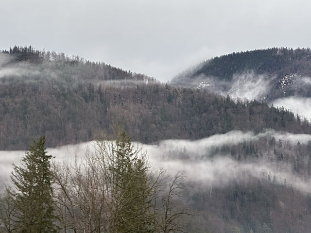 Escape to Nature: Salzburg’s Breathtaking Outdoors