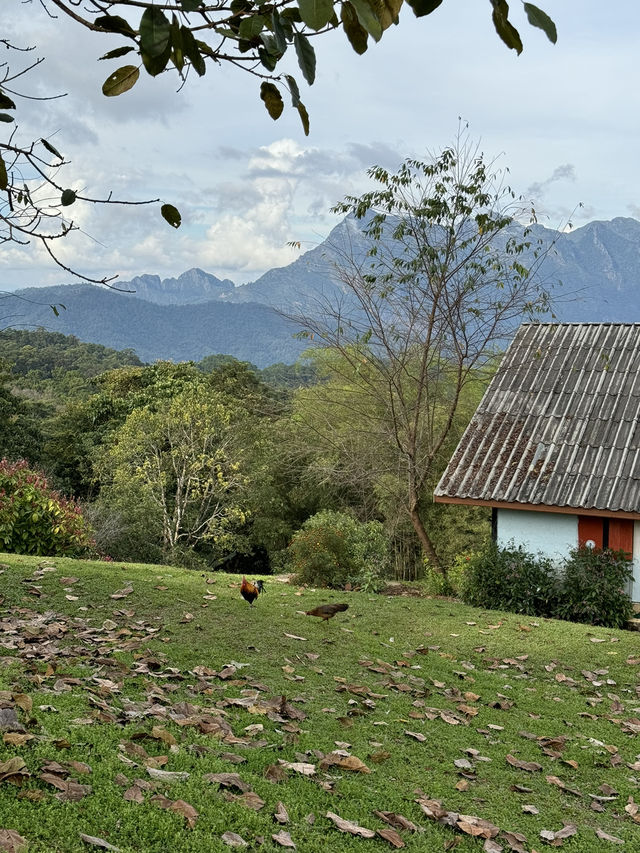พิกัด 14 อุทยานแห่งชาติ | เชียงใหม่ 📖🌳🌿🌤️