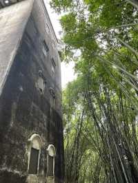 Majianglong Village  — Dialou's in a Bamboo Grove