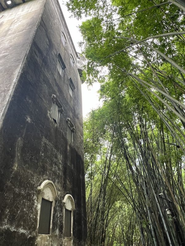 Majianglong Village  — Dialou's in a Bamboo Grove