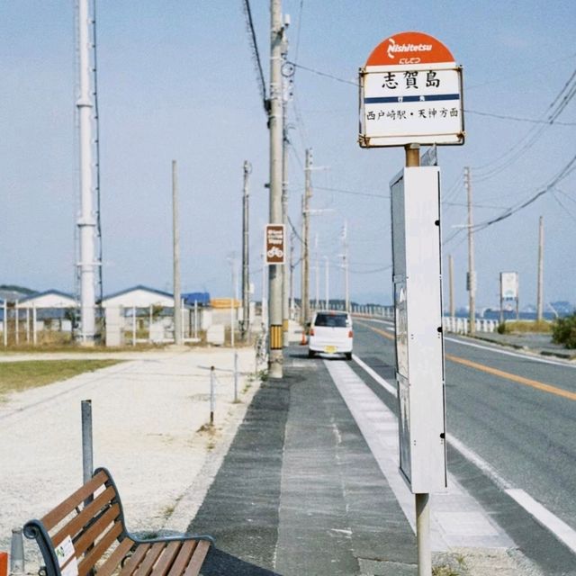 志賀島：潮間帶的寶藏地圖
