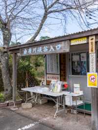 【大分県/由布市】自然の生んだ絶景スポット