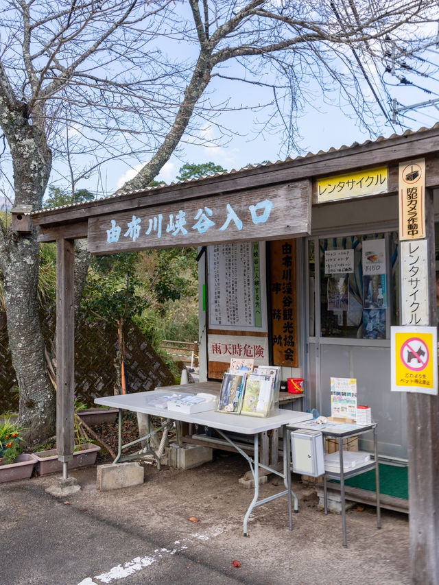 【大分県/由布市】自然の生んだ絶景スポット