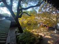 A Journey Through Time: Exploring the Charm of Tongli Ancient Town