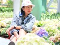 Miracle of Natural สวนดอกไม้เมืองหนาว ระยอง