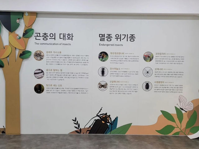 경상북도 상주시 곤충 생태 전시관 입니다.