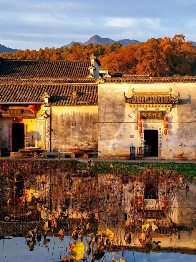 Step into an Artistic Paradise: Your Ultimate Guide to Hongcun