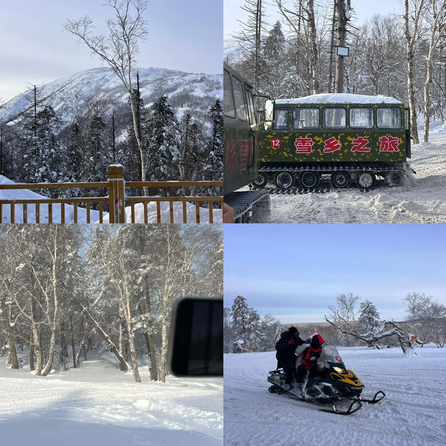 ปักหมุด 11 พิกัดสุดฮิต ตะลุยแดนน้ำแข็ง เมืองฮาบิ้น
