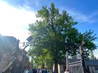 พิพิธภัณฑ์ Auschwitz 