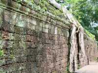 A Temple Frozen in Time: Ta Prohm