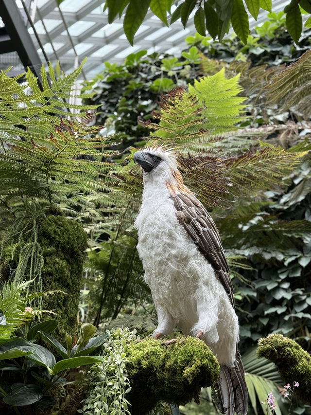 One of the most well designed botanic garden in the world