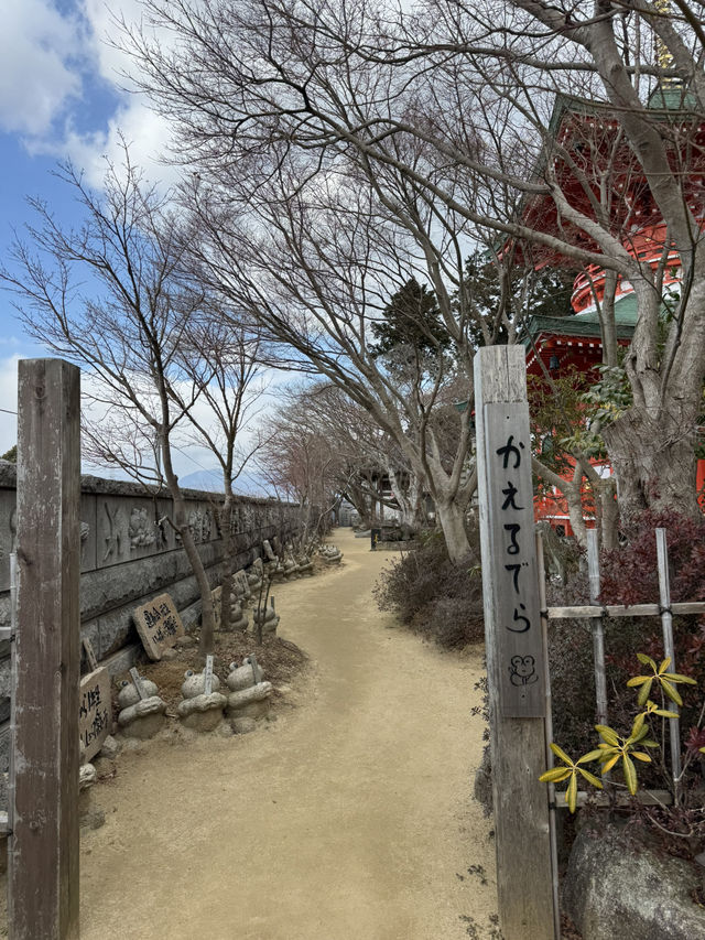 可愛すぎる！かえるの御朱印🐸