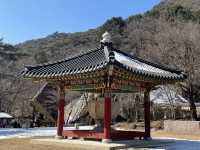 충북 보은에서 만난 유네스코 유산 법주사