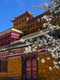 Historical in Perfect Blend of Cultural Village