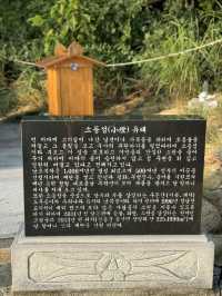 대한민국의 무인도⁉️