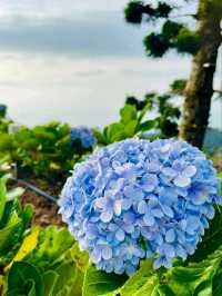 Jerai Hill: A Breathtaking Highland Escape in Kedah