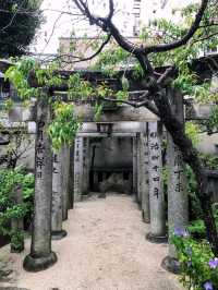 博多櫛田神社，參觀華麗又壯觀的祇園祭山笠