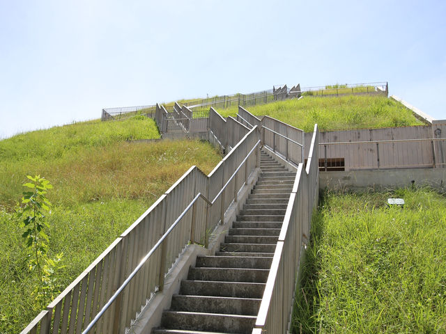 探索台東大學 綠建築之美 🤩🌿知識與自然的完美結合