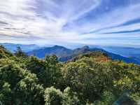 親民的綠野仙境～稍來山步道