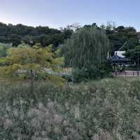 【ソウル】🇰🇷 ボラメ公園