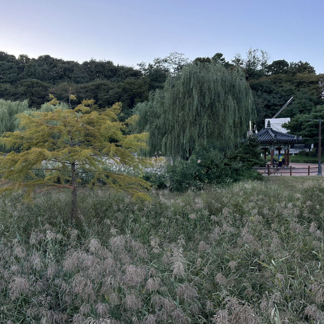 【ソウル】🇰🇷 ボラメ公園